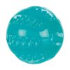 Denta Fun Tpr Bal Met Muntsmaak 6X6X6 Cm 3 St