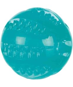 Denta Fun Tpr Bal Met Muntsmaak 6X6X6 Cm 3 St