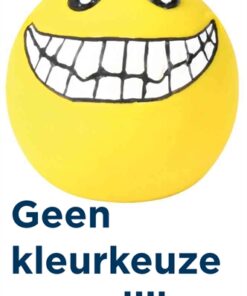 Latex / Polyestervlies Smiley Met Geluid Assorti 6X6X6 Cm 4 St