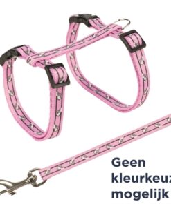 Kattentuig Met Riem Kattenmotief Assorti 27-45X1 Cm 120 Cm 4 St