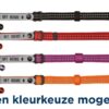 Kattenhalsband Met Adresflap My Home Reflecterend Assorti 4 St