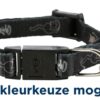 Kattenhalsband Junior Kattenmotief Assorti 4 St