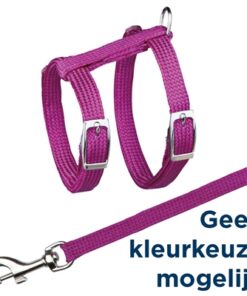 Kattentuig Met Riem Metalen Gespen Assorti 22-42X1 Cm 125 Cm 4 St