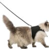 Softtuig Kat Met Riem Zwart 36-54 Cm 120 Cm 2 St