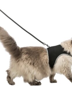 Softtuig Kat Met Riem Zwart 36-54 Cm 120 Cm 2 St