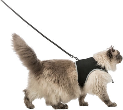Softtuig Kat Met Riem Zwart 36-54 Cm 120 Cm 2 St