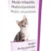 Multivitamine Voor Kittens Pasta 6X100 Gr