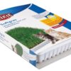 Softgras Bak 12X100 Gr