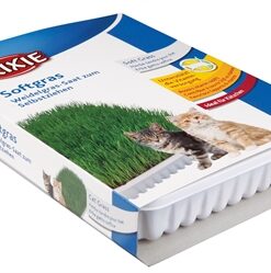 Softgras Bak 12X100 Gr