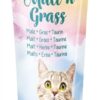 Malt'n'grass Anti-Hairball 6X100 Gr