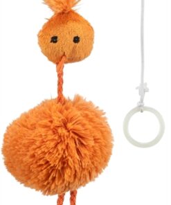 Kip Aan Elastisch Koord Pluche Met Catnip 20 Cm 4 St