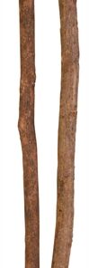Set Zitstokken Schorshout 35X1-1,2 Cm 4X2 St