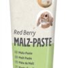 Moutpasta Red Berry 6X100 Gr