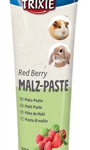 Moutpasta Red Berry 6X100 Gr