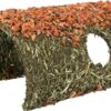 Schuilplaats Natuurvezel Met Granen / Wortel 25X15X12 Cm 2 St