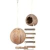2 Kokosnoothuizen Met Hangbrug Muis 100X13X13 Cm 3 St