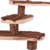 Trap Cavia Schorshout 38X24 Cm
