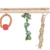 Hangbrug Met Touwladder & Speelgoed Hamster Hout 29X9X25 Cm 3 St