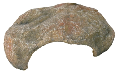 Reptiland Reptielen-Schuilplaats 30X25X10 Cm