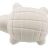Reptiland Waterverbeteraar Voor Waterschildpadden 6,1X4,5X2 Cm 6St