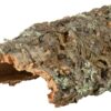 Reptiland Kurkplaat M Tot 40 Cm 10 St
