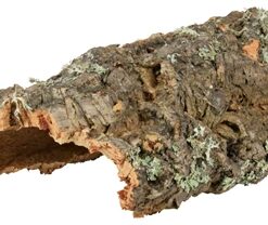 Reptiland Kurkplaat M Tot 40 Cm 10 St