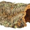 Reptiland Kurkplaat L Tot 55 Cm 10 St