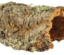 Reptiland Kurkplaat L Tot 55 Cm 10 St