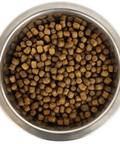 Koningspoedel Pup 12 Kg