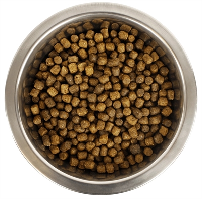 Koningspoedel Pup 12 Kg