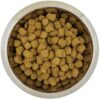 Koningspoedel Senior 12 Kg