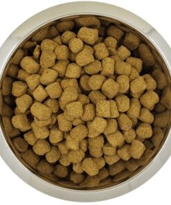 Koningspoedel Senior 12 Kg