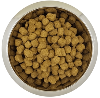 Koningspoedel Senior 12 Kg