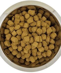 Koningspoedel Volwassen 12 Kg