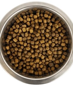 Dwerg- Of Toypoedel Pup 12 Kg