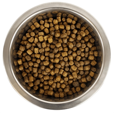 Dwerg- Of Toypoedel Pup 12 Kg