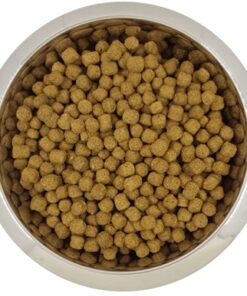 Dwerg- Of Toypoedel Senior 12 Kg