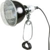 Reptiland Reflector Klemlamp Met Draadbeschermkap 14X17 Cm