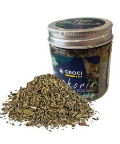 Euphoria Catnip Pot 25 Gr
