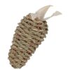 Ehop Wortel Zeegras 12 Cm