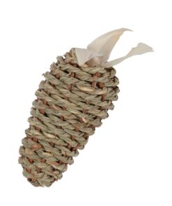 Ehop Wortel Zeegras 12 Cm