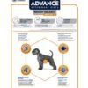 Veterinary Diet Dog Weight Balance Medium / Maxi 12 Kg