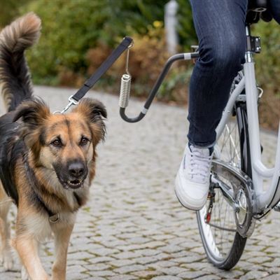 Fietsbeugel U-Vorm M-Xl