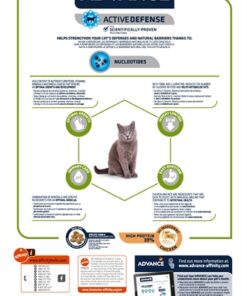 Cat Junior Sterilized Chicken 10 Kg