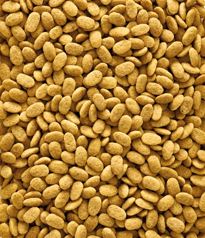 P15 Original Onderhoudsvoeder 1Kg