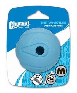 The Whistler Medium