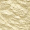 A19 Papegaai 800 Gr