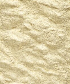 A19 Papegaai 800 Gr