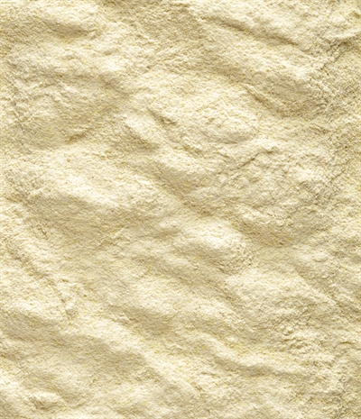 A19 Papegaai 800 Gr
