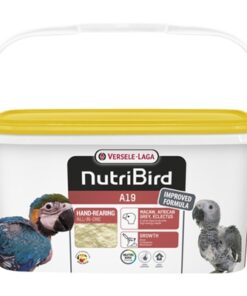 A19 Papegaai 3 Kg
